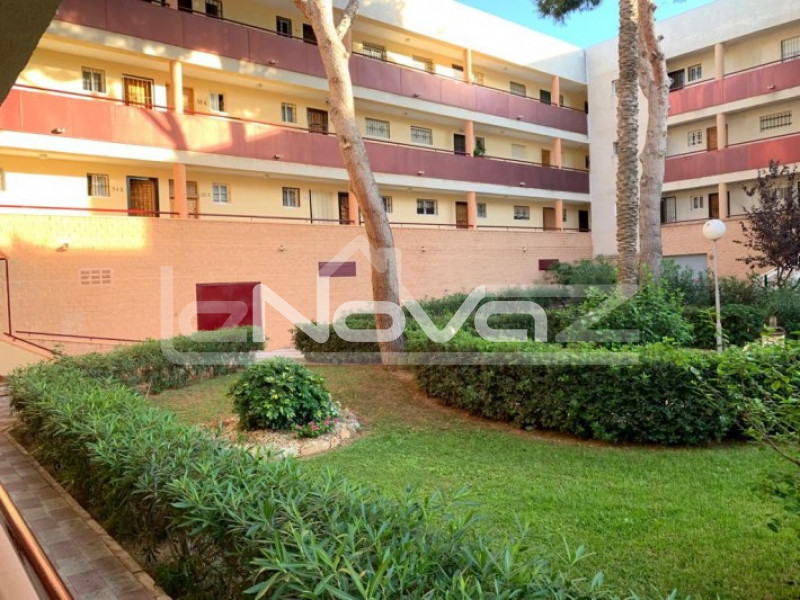 Schöne 2-Zimmer-Wohnung im Erdgeschoss mit einer großen Terrasse, 350 m vom besten Strand in Mil Palmeras entfernt.. #1302
