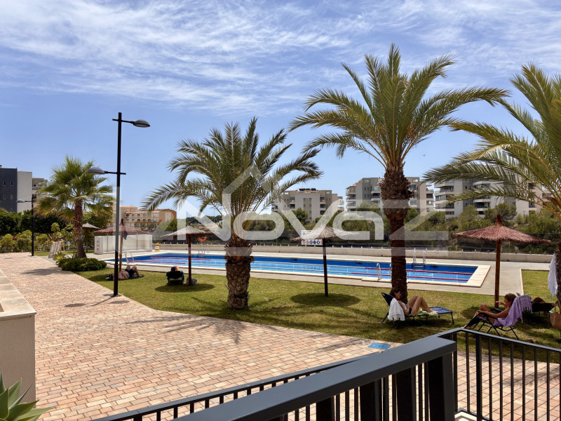 Comfortable 3 bedroom penthouse in Green Hills urbanization. #1943