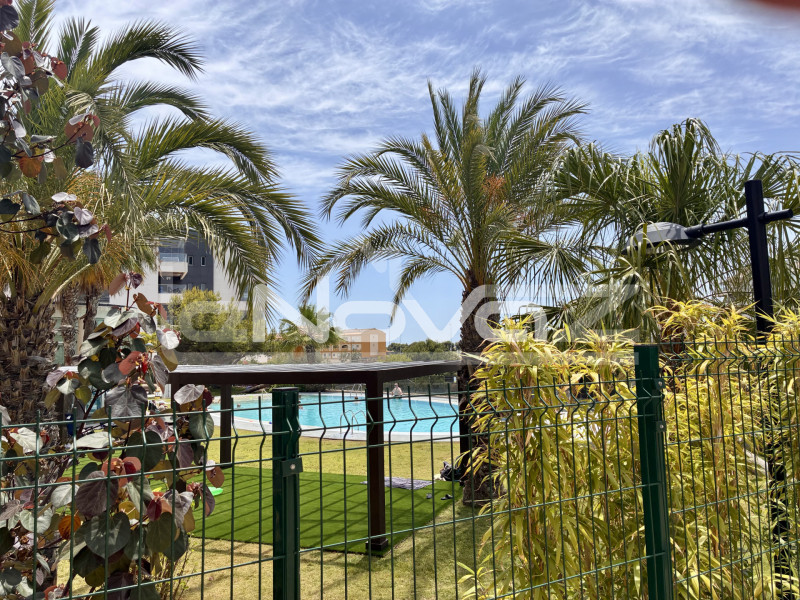 Comfortable 3 bedroom penthouse in Green Hills urbanization. #1943