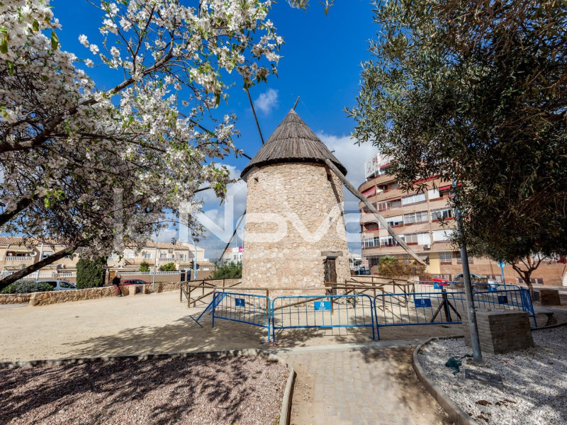 Apartamento de 2 dormitorios en Torrevieja. #2027