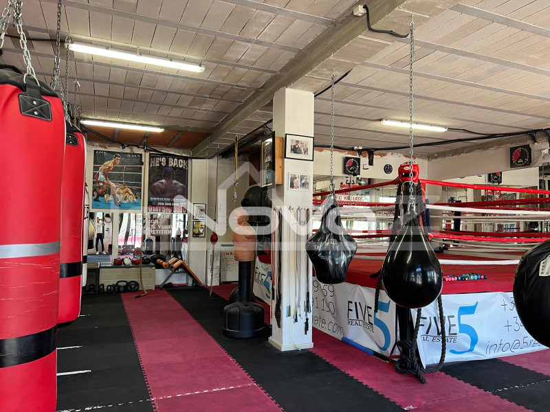 Uthyres: Nyckelfärdig verksamhet - Utrustat gym i Villamartin. #2054