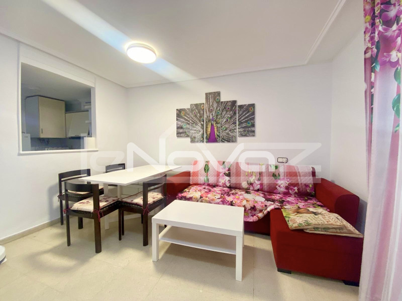 Ein-Zimmer-Apartment in Torrevieja. #2060