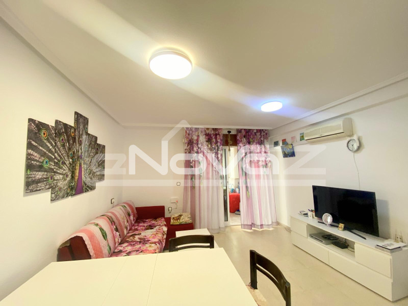 Ein-Zimmer-Apartment in Torrevieja. #2060