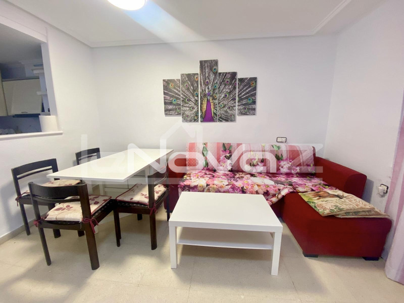 Ein-Zimmer-Apartment in Torrevieja. #2060