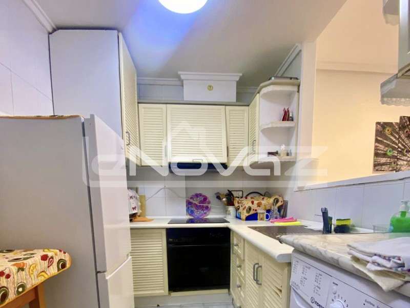 Ein-Zimmer-Apartment in Torrevieja. #2060